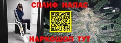 наркотики Будённовск